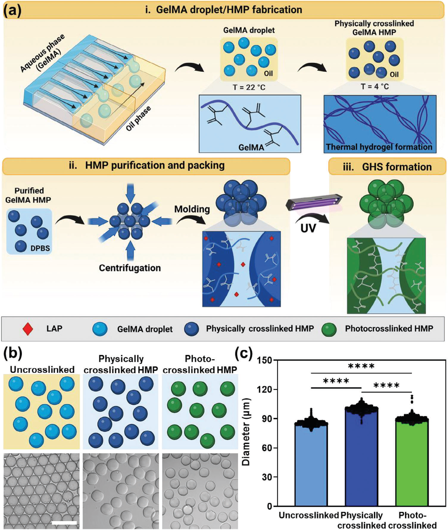GelMA microparticle and granular hydrogel scaffold fabrication (Jaberi et al., Fig. 1)
